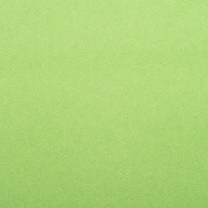 Edgewater Tapis - Vert