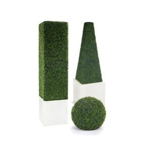 Boxwood & Topiary